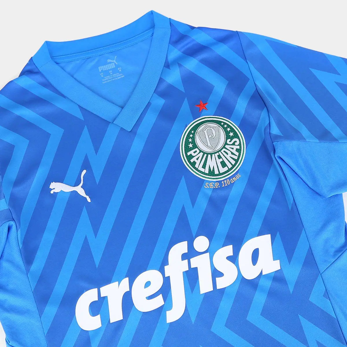 Camisa Palmeiras 24/25 - Goleiro Azul | Futmantos