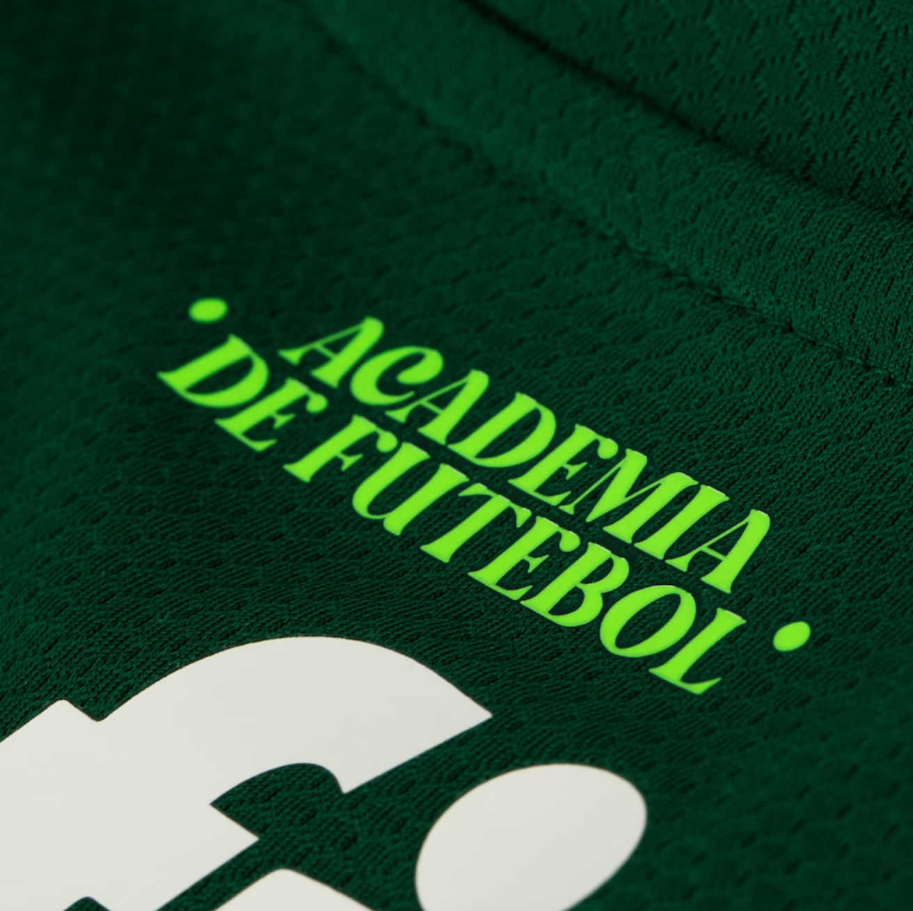 Camisa Palmeiras I 23/24 - Verde | Futmantos
