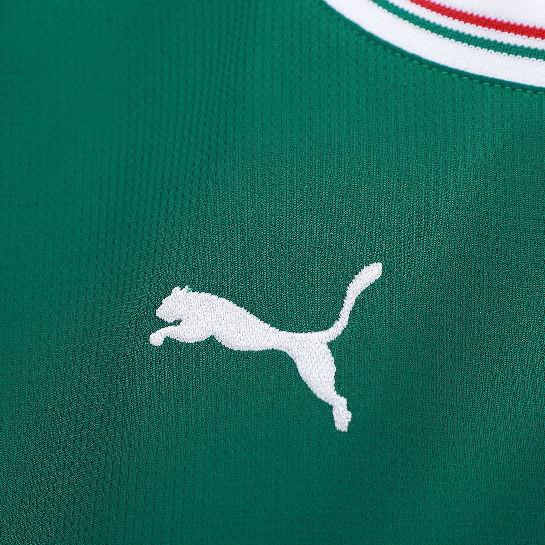 Camisa Palmeiras I 25/26 - Feminina | FutMantos