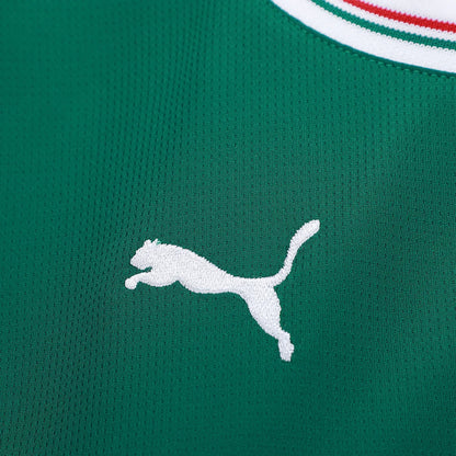 Camisa Palmeiras I 25/26 - Feminina | FutMantos
