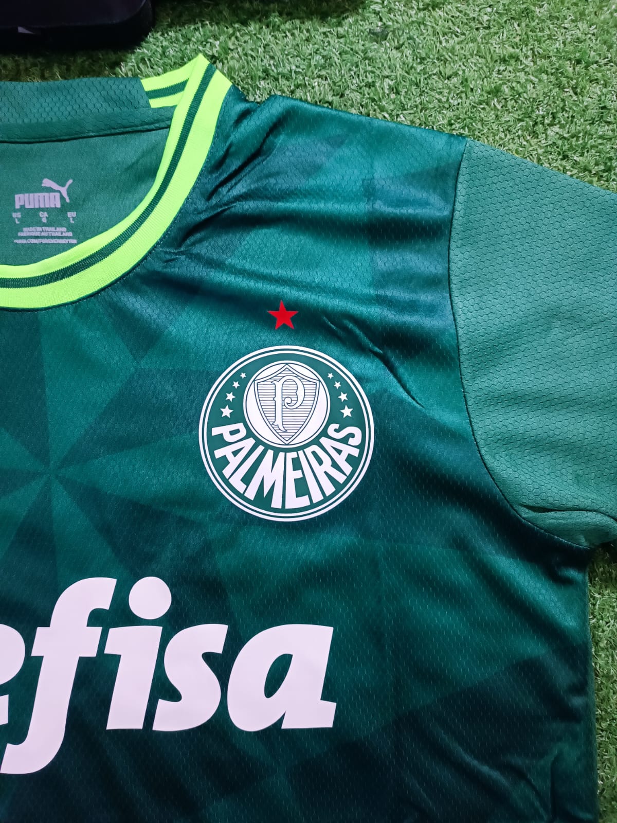 Camisa  Palmeiras 2023/24 -Jogador | FutMantos