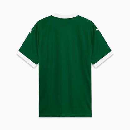 Camisa Palmeiras Home 25/26 - Torcedor Masculina