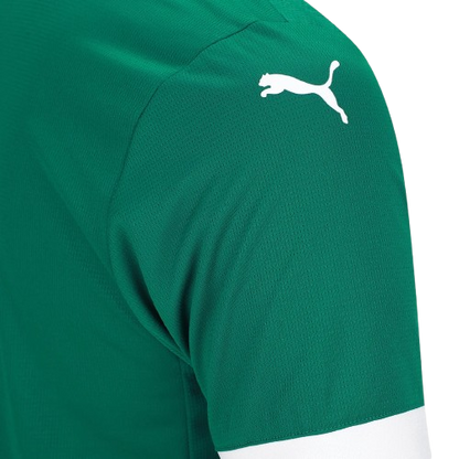 Camisa Palmeiras Home 25/26 - Torcedor Masculina
